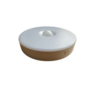 LED Sensor Light